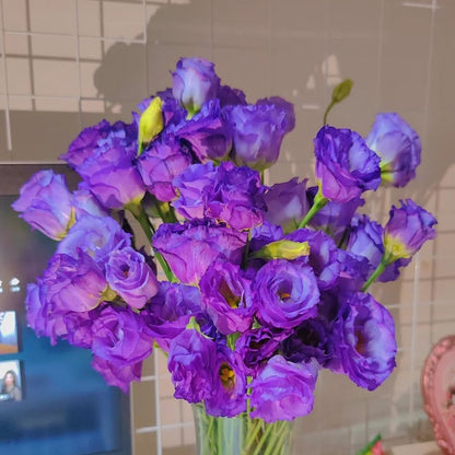 🔥🌺Low-maintenance Eustoma Flower Seeds🌈